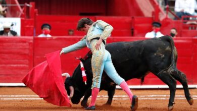 corrida de toros