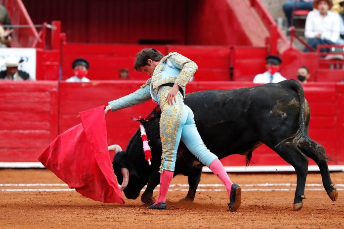 corrida de toros