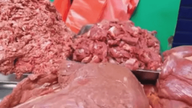 carne