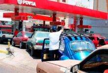gasolina