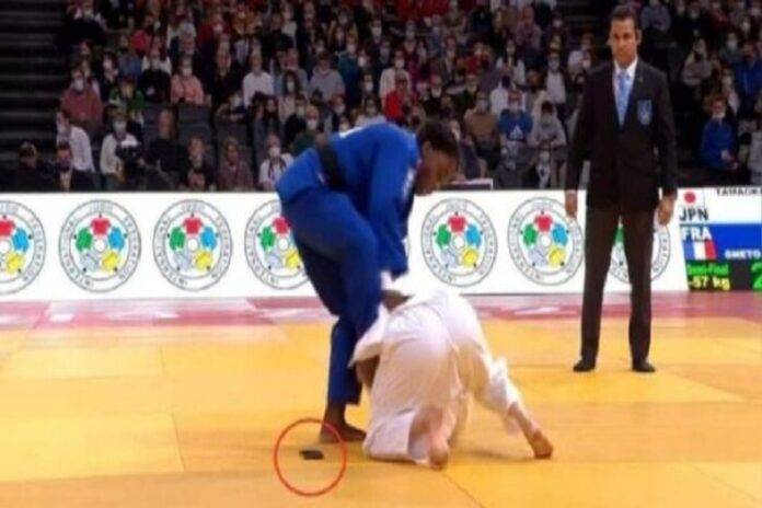 judoca celular