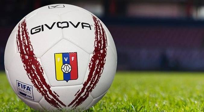vinotinto