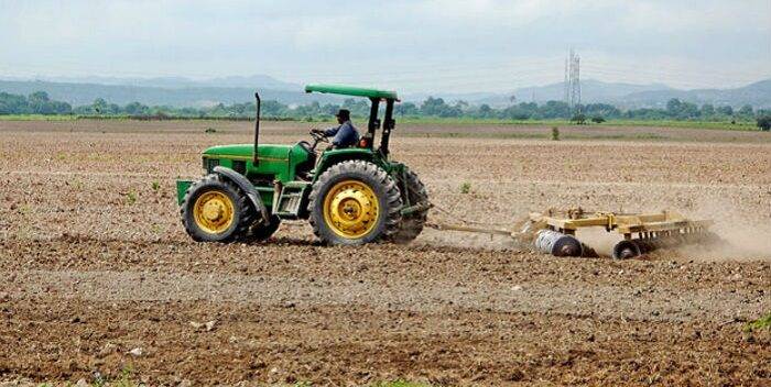 agricola