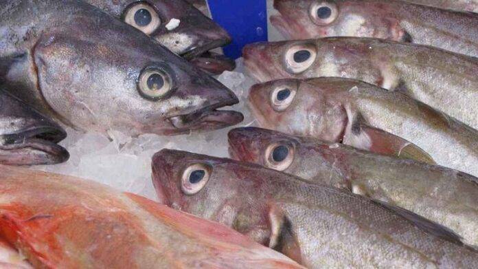 pescado