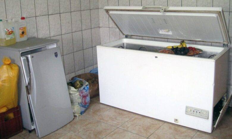 cadaver freezer