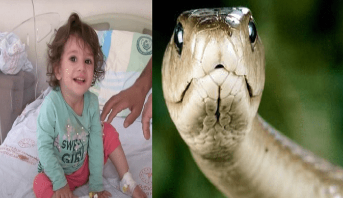 NIÑA SERPIENTE