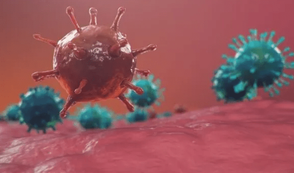 virus covid
