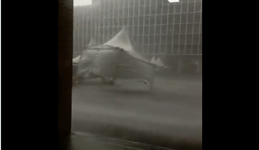 lluvia carpas