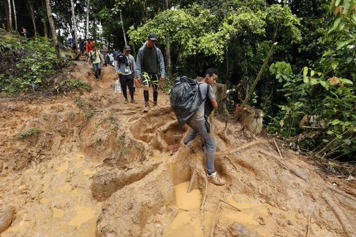 migrantes selva