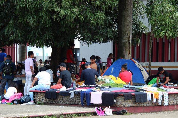 migrantes