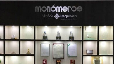 monomeros
