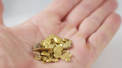 pepitas de oro