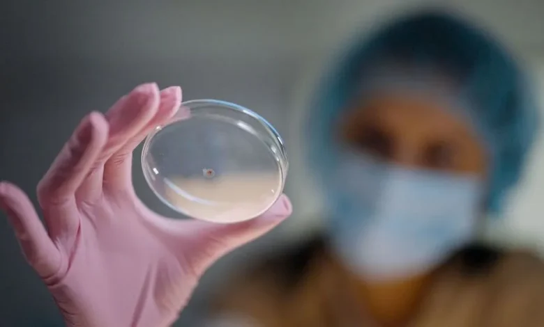 Investigadores iraníes desarrollan un hidrogel fotosensible para tratar el cáncer de mama